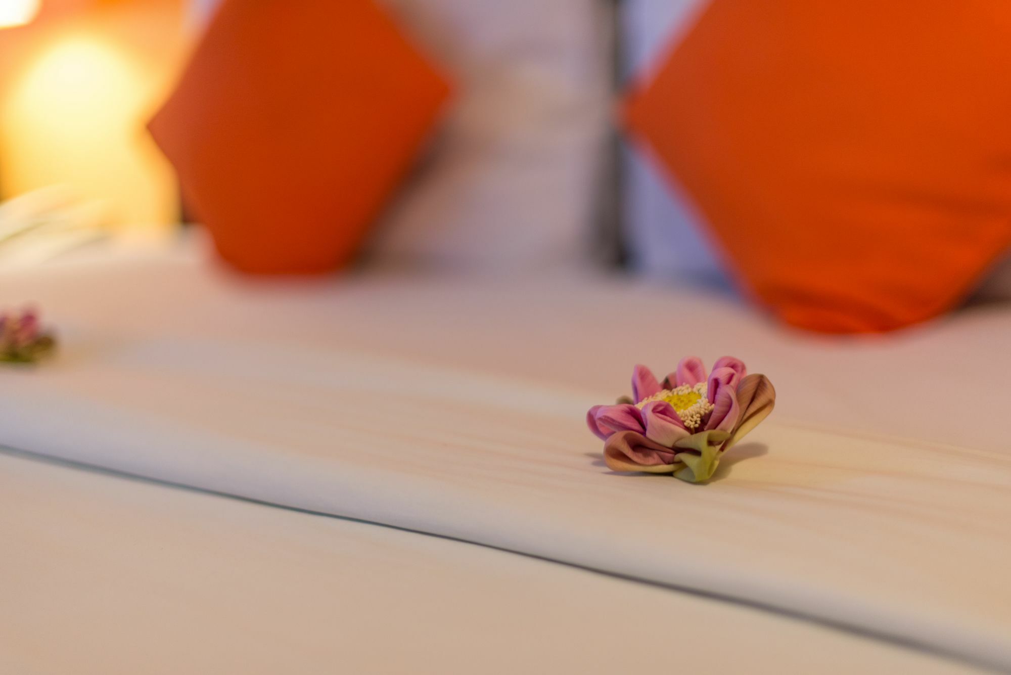 Jk Resident Hotel Sziemreap Kültér fotó